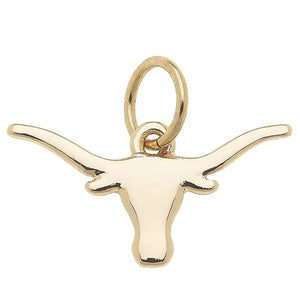 Longhorn Shiny Charm