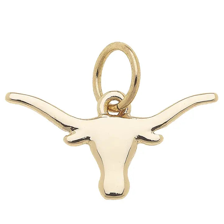 Longhorn Shiny Charm