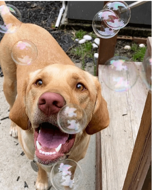 BubbleLick Peanut Butter