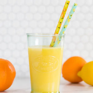 Lemons + Oranges Reusable Straws