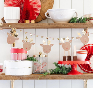 Rudolph Banner Set