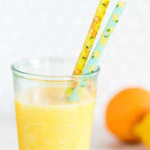 Lemons + Oranges Reusable Straws