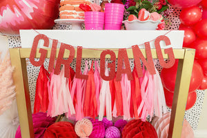 Girl Gang Banner