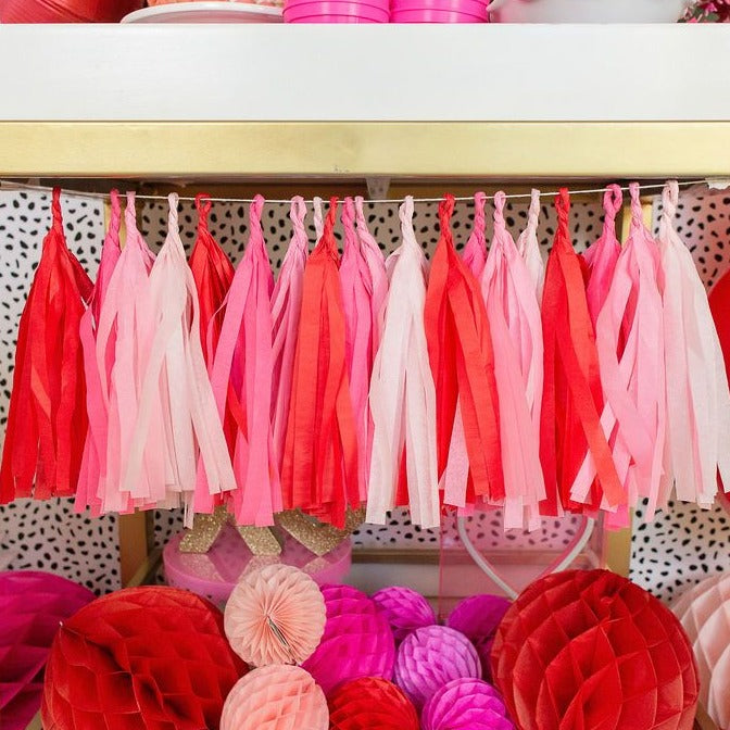 Galentine Tissue Tassel Garland