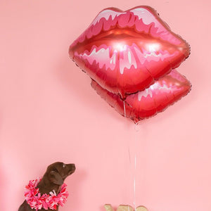 Chocolate lab dog sitting next to two 30 inch jumbo lip balloons in front of a pink backdrop.