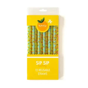 Lemons + Oranges Reusable Straws
