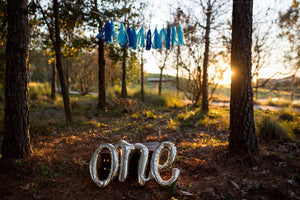 Cursive white gold ONE mylar balloon in the park with tassel garland banner in different shades of blue.