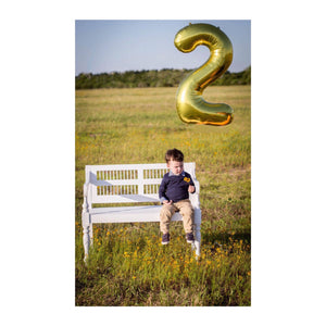 A little boy holding a wildflower posing for his second birthday with a gold number 2 floating behind him.