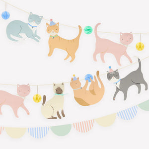 Kittens Banner